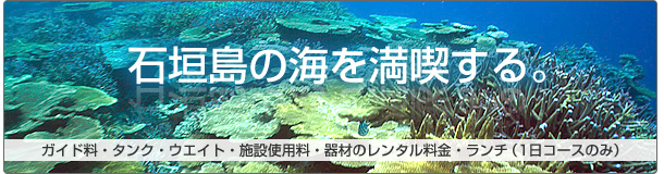 体験ダイビング