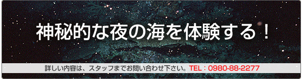 �i�C�g�_�C�r���O