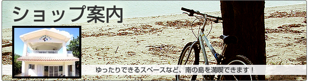 �V���b�v�ē�